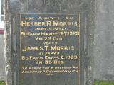 image of grave number 371142